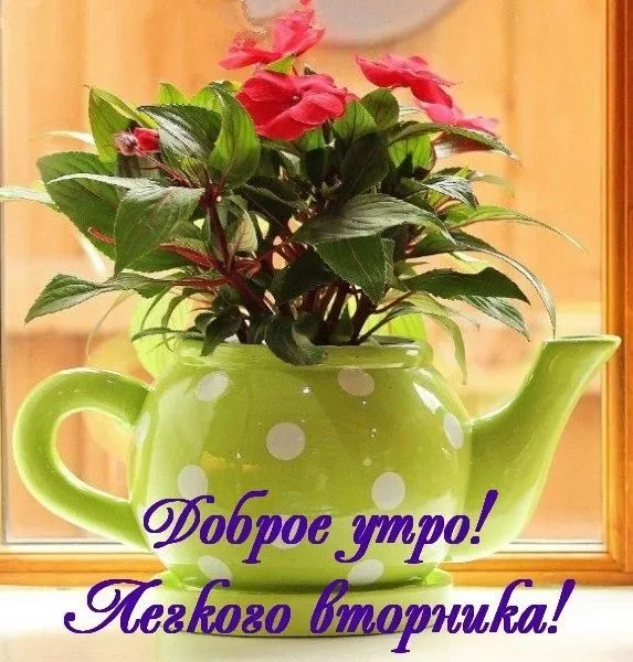 IMG-f1f1a5e541649392338280f80ff9ed72-V.webp