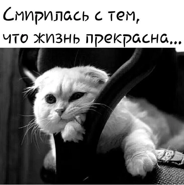 IMG-f2dcfa0eb44f558a896271098f5ed614-V.webp
