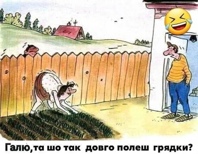 IMG-f37a7e144c19ca4b032079c09c8bc674-V.webp