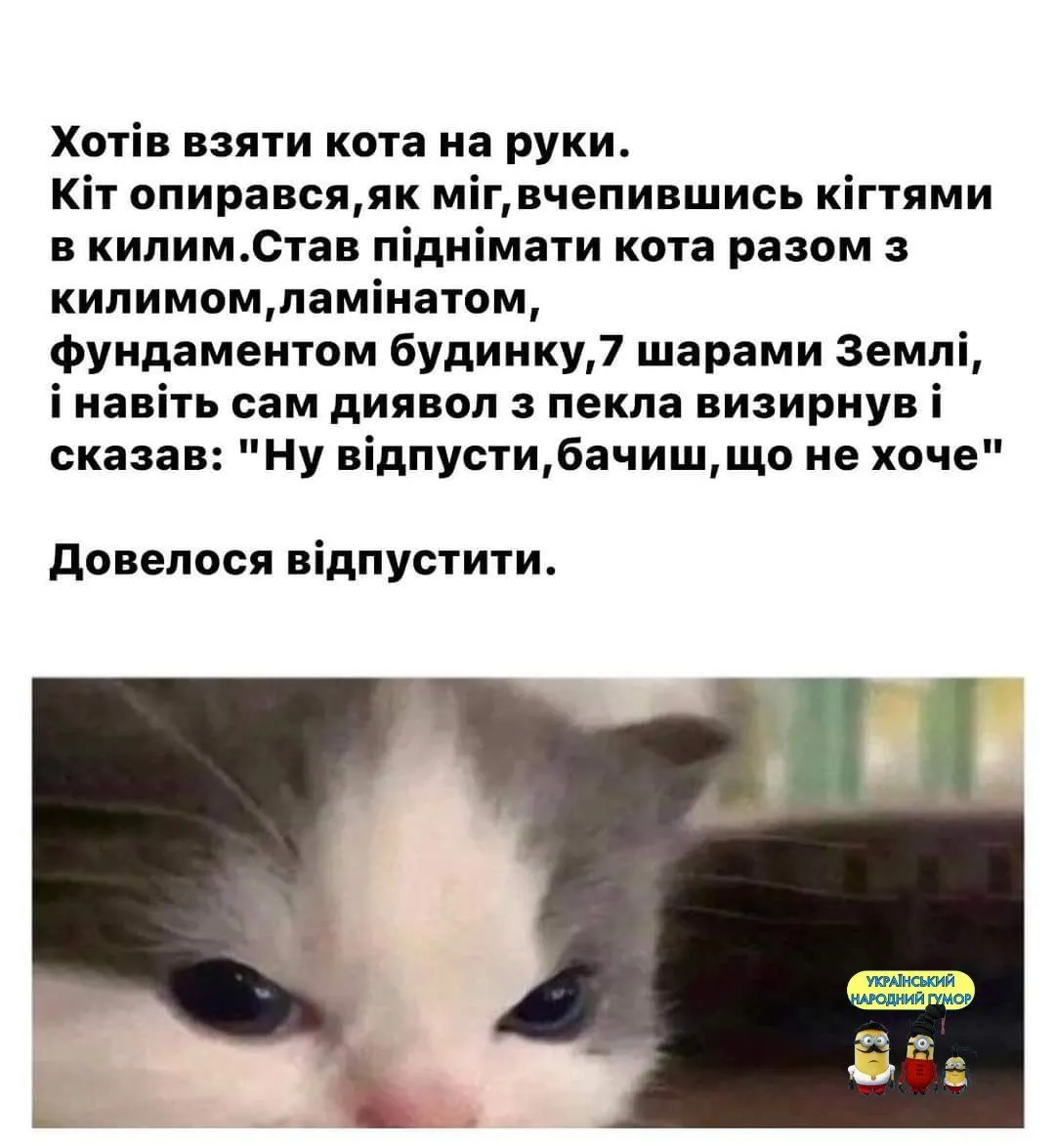 IMG-f3d7b15023434d98c3e6a23fdf092b43-V.webp