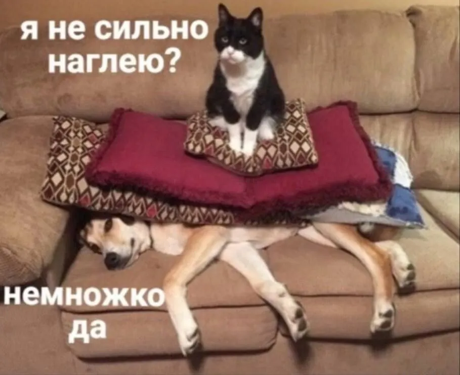 IMG-f449a519518f60e9d712eba5dabd00f2-V.webp