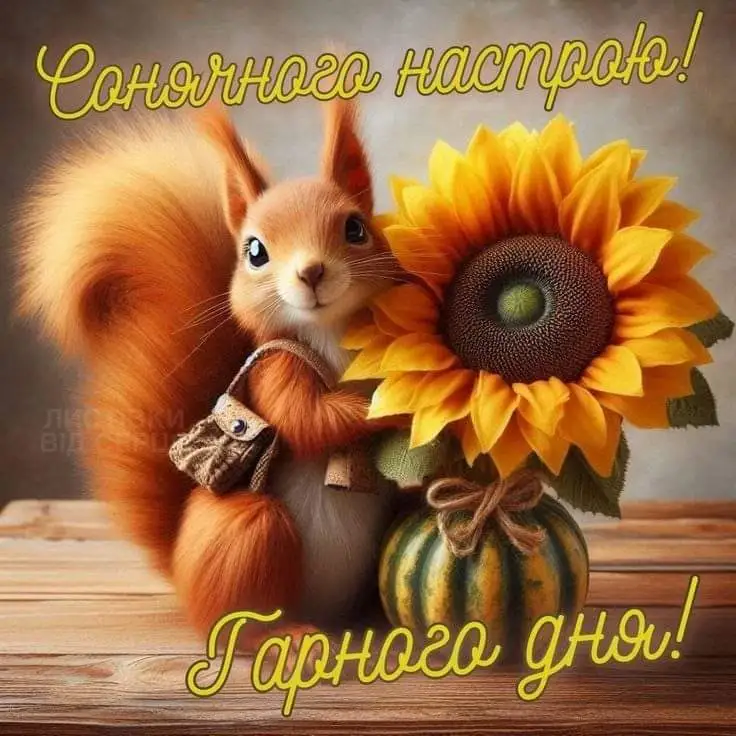 IMG-f472dcae0f93ed0e6fa539a6ea74b3d0-V.webp