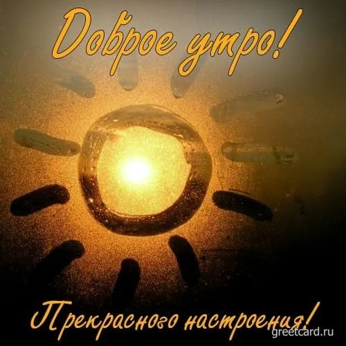 IMG-f4b50dd53879b5c0e80bba52cfa8ef98-V.webp