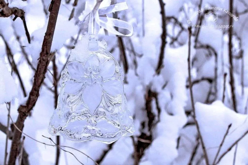 IMG-f61bf1f5b5f7ce45a205bebdd5879683-V.webp