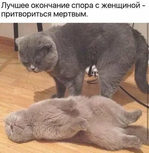 IMG-f6939896f59c697b9b611e40bb675dde-V.webp