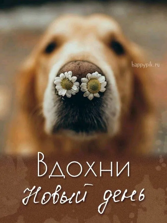 IMG-f708eeccc5b80e356516a7e555963bcc-V.webp