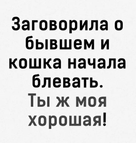 IMG-f71c9708ba64eea5d6cf8d69e7cb37f6-V.webp