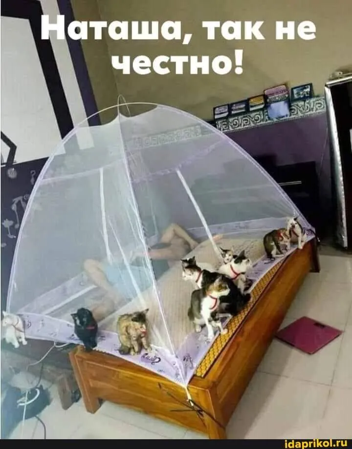 IMG-f725c22d9840828bbe74d6bcdf586bb9-V.webp