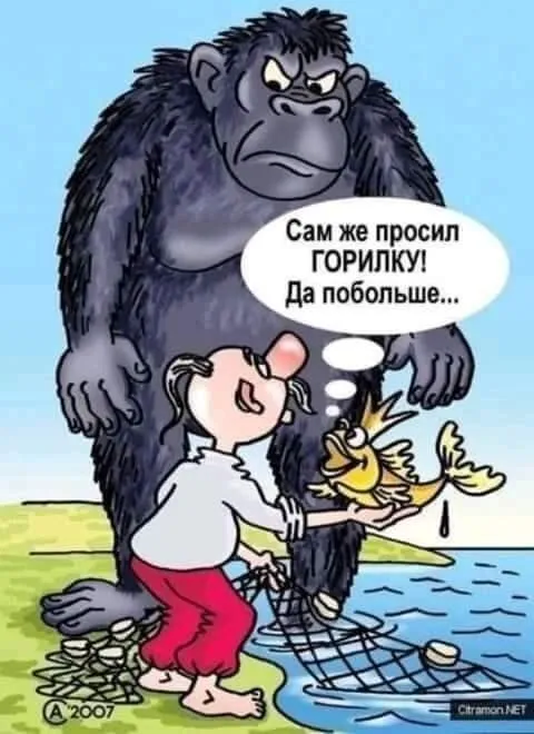 IMG-f76df73aa82e8a5650838696ce15c6af-V.webp