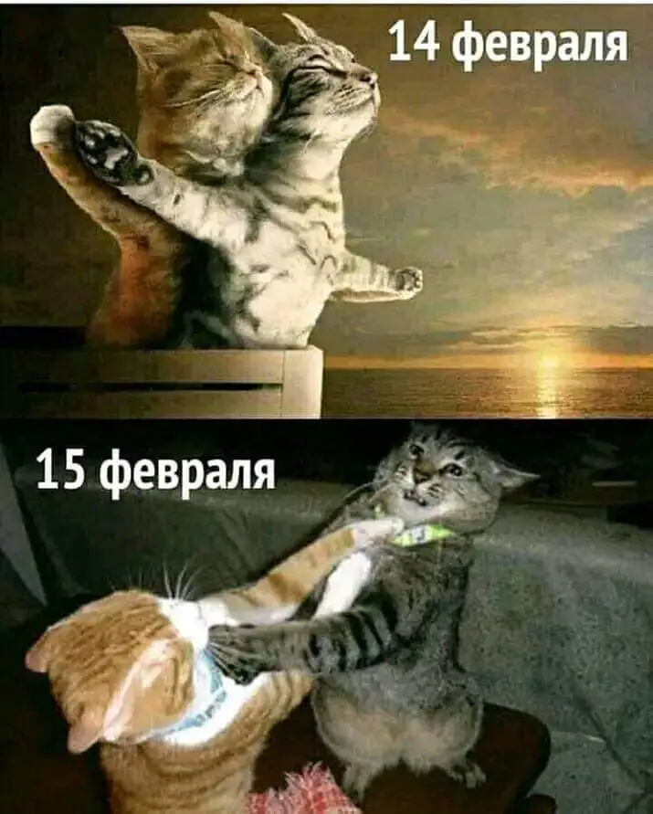 IMG-f79963c6cd1565993434b0b871fa2c6c-V.webp