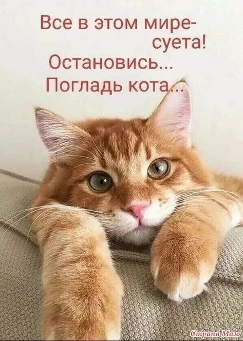 IMG-f81a2c24dc4172895095d6c31cd78b73-V.webp