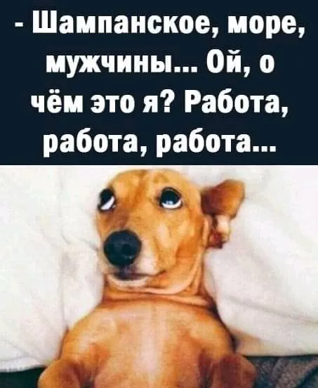 IMG-f89f0eedaed9bf37c358d17b984e6288-V.webp