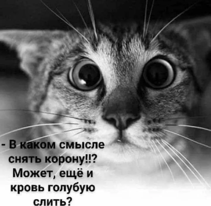 IMG-f949147d359000f52118060454e8bc55-V.webp