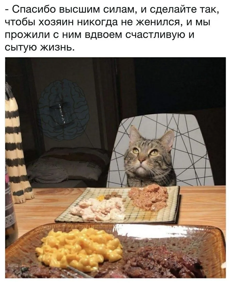IMG-f9ead91f7e314766c4af77d4d813a231-V.webp