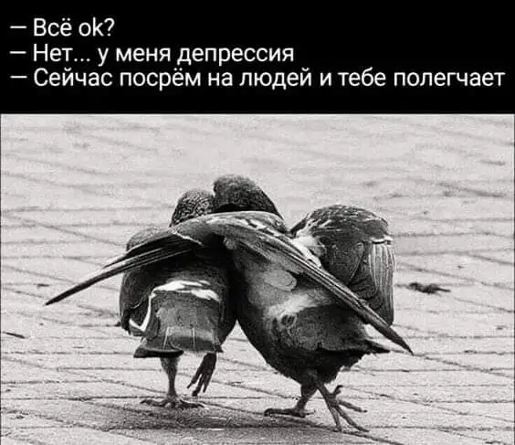 IMG-fa6cec82712b18cd360f40469b8f7710-V.webp