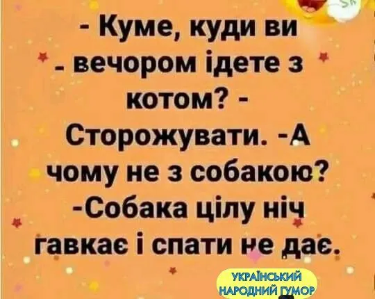 IMG-fb1d7e4557ef4235dcd7315d422b0ef7-V.webp