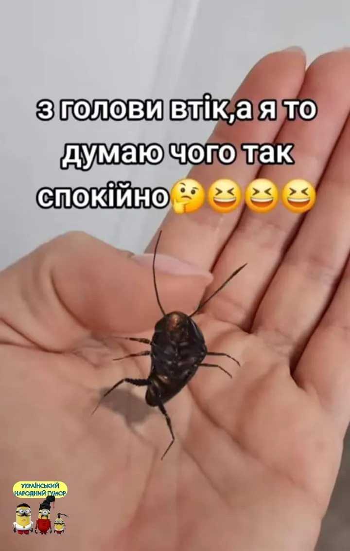 IMG-fb5c09b88f52f5d7d049f5276fc6d17b-V.webp