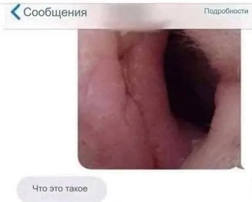 IMG-fc2d3e2611c079903e614f287e99882c-V.webp