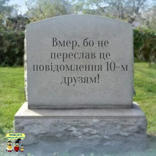 IMG-fd21dd09599ab2faf0097a03c5008301-V.webp