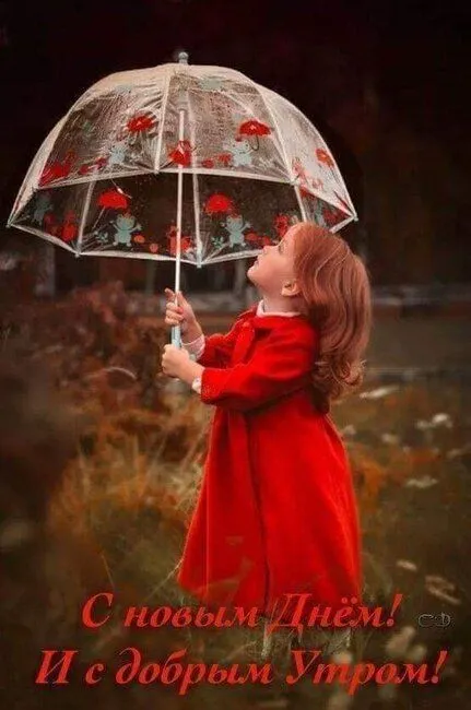 IMG-fdb8c4e04ff9e746726d84083b393197-V.webp