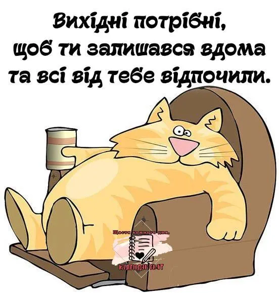 IMG-fe8331f3d99fde543ed44033b6d67020-V.webp