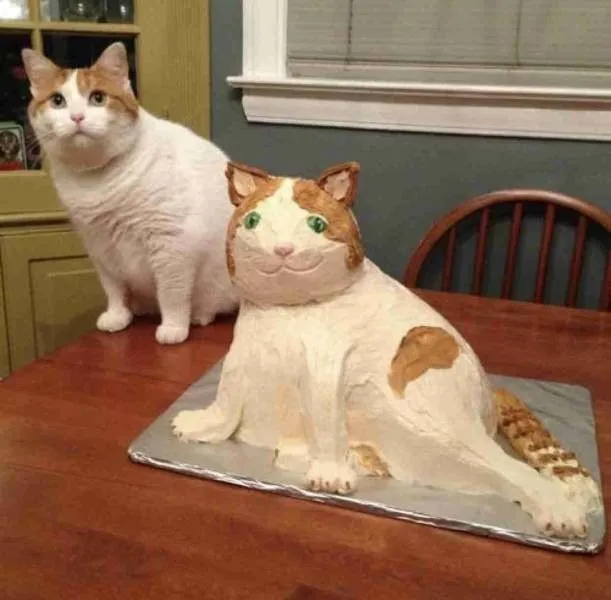 IMG-fedf9b300e78a77366d1b1d5ebbb49ab-V.webp