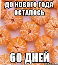 IMG-ff067332aedecfa10cc05c6d2cfe795d-V.webp