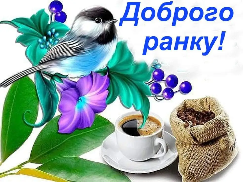 IMG-ff204636a824cbb3bdf5b90de078c559-V.webp