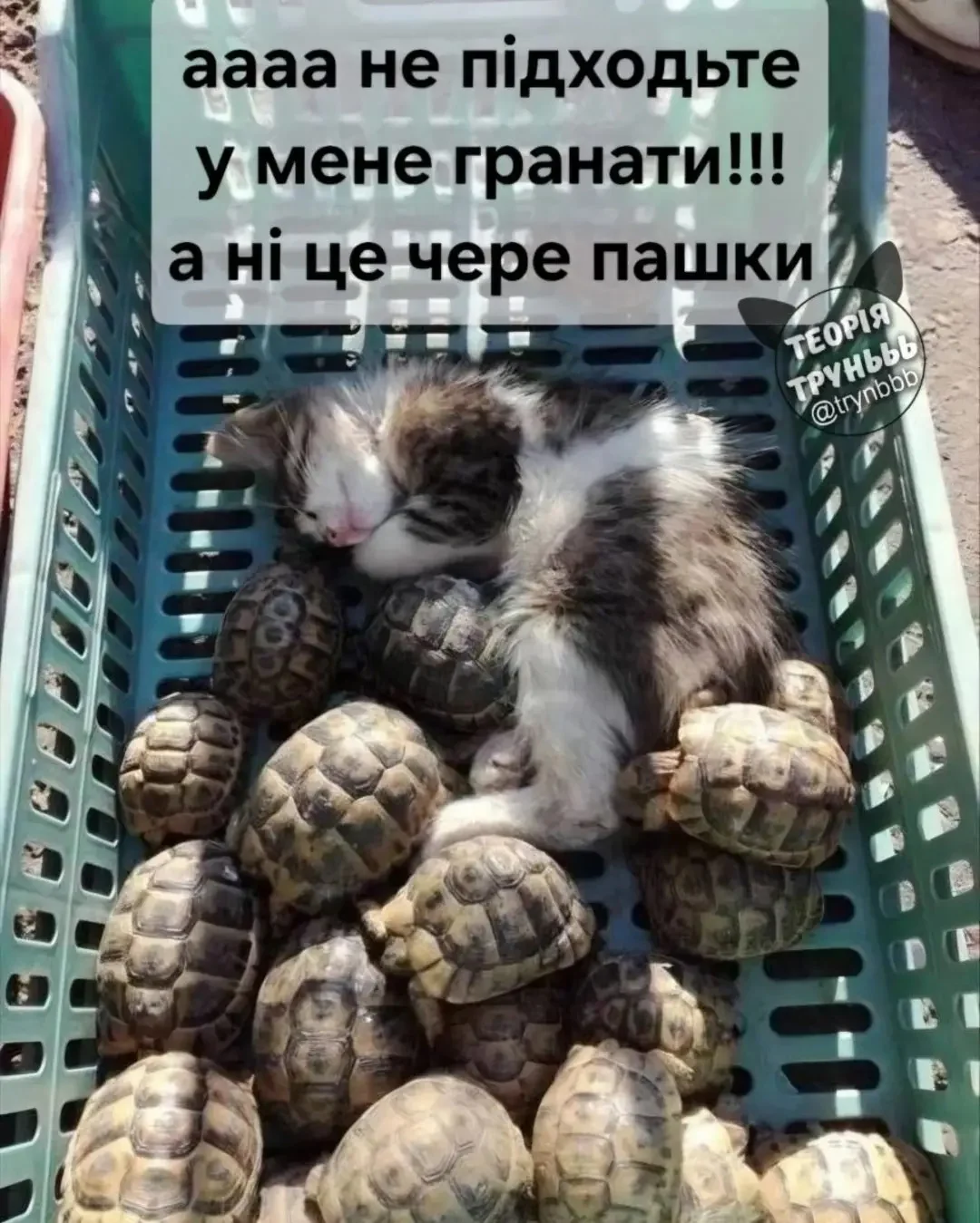 img_1_1771834524099.webp