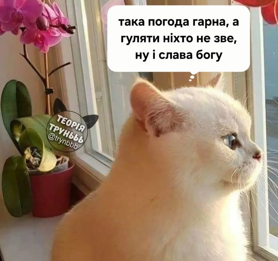 img_1_1776674048901.webp