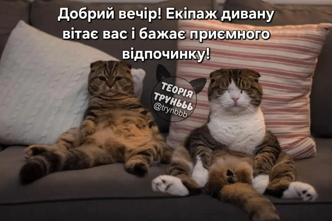 img_1_1777573611603.webp