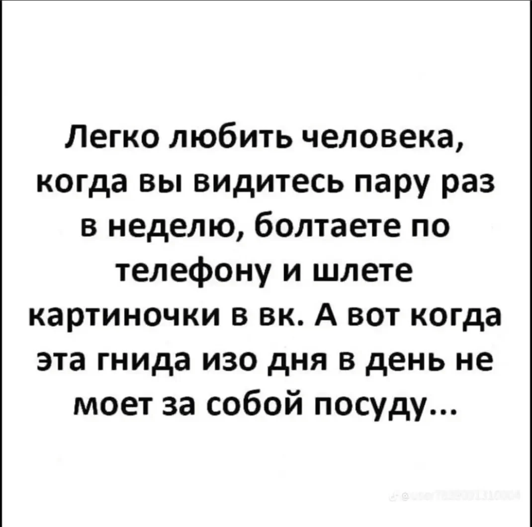 img_1_1781978147513.webp