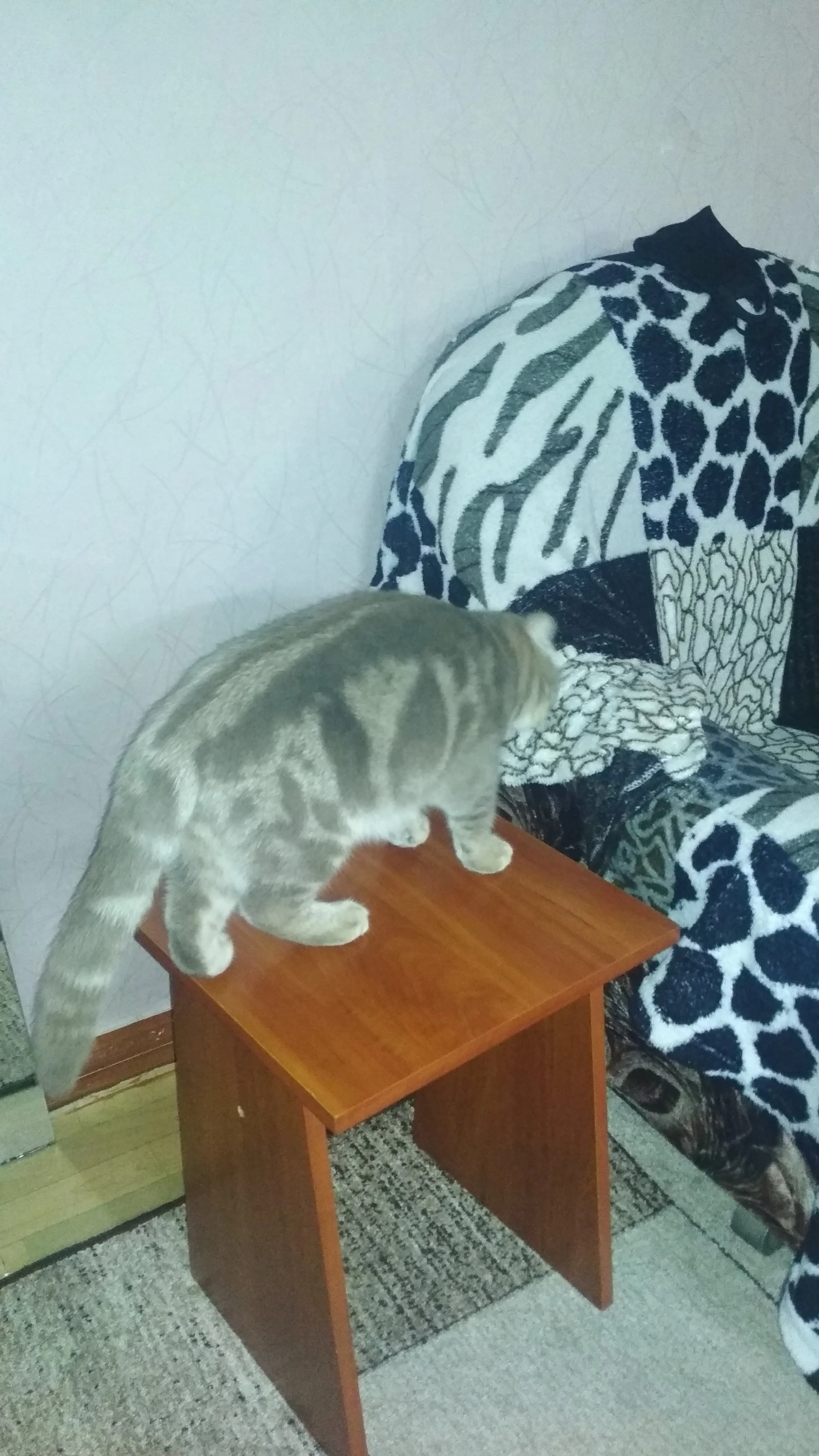 IMG_20200416_202304.webp