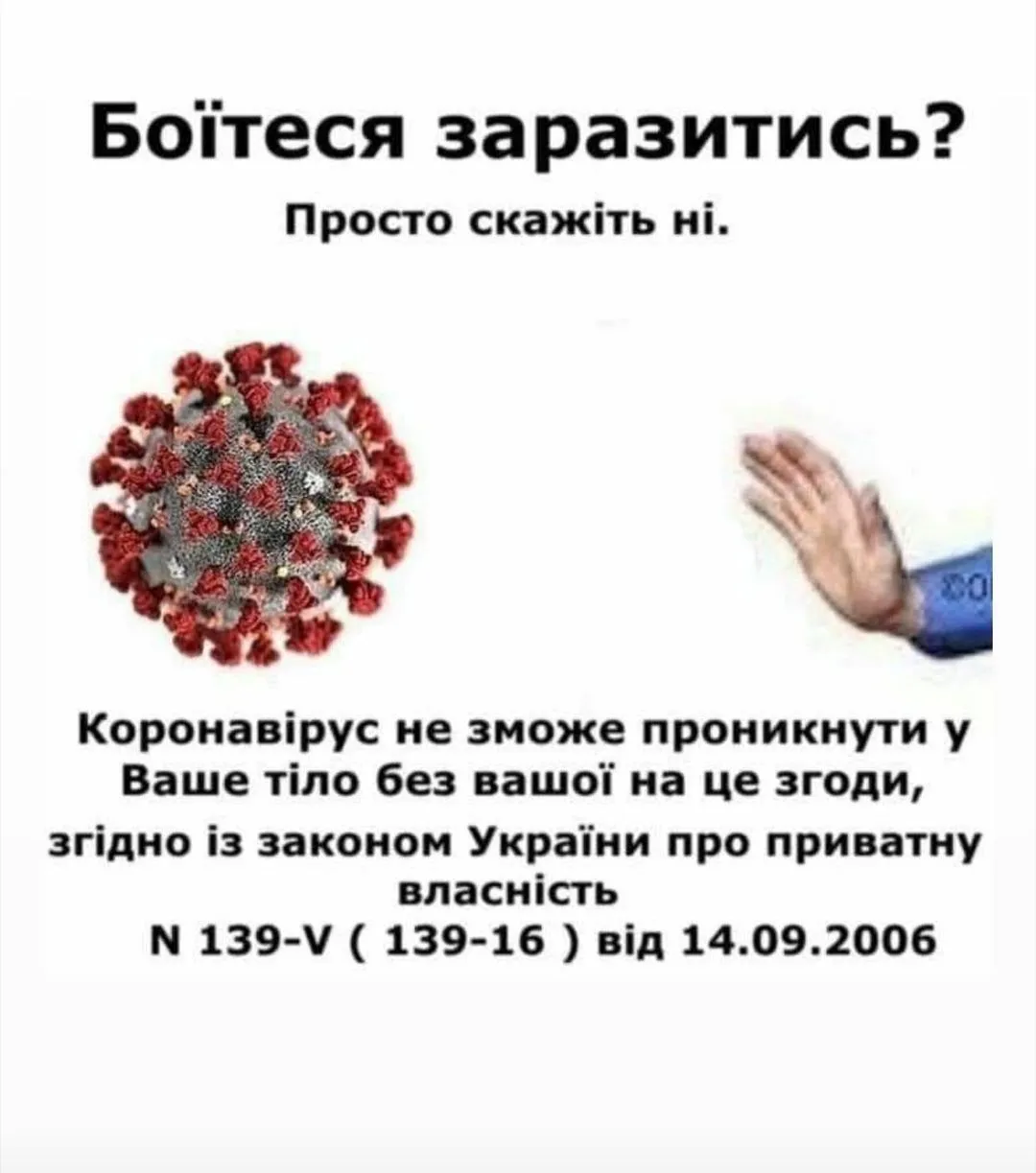 IMG_20201031_121524.webp