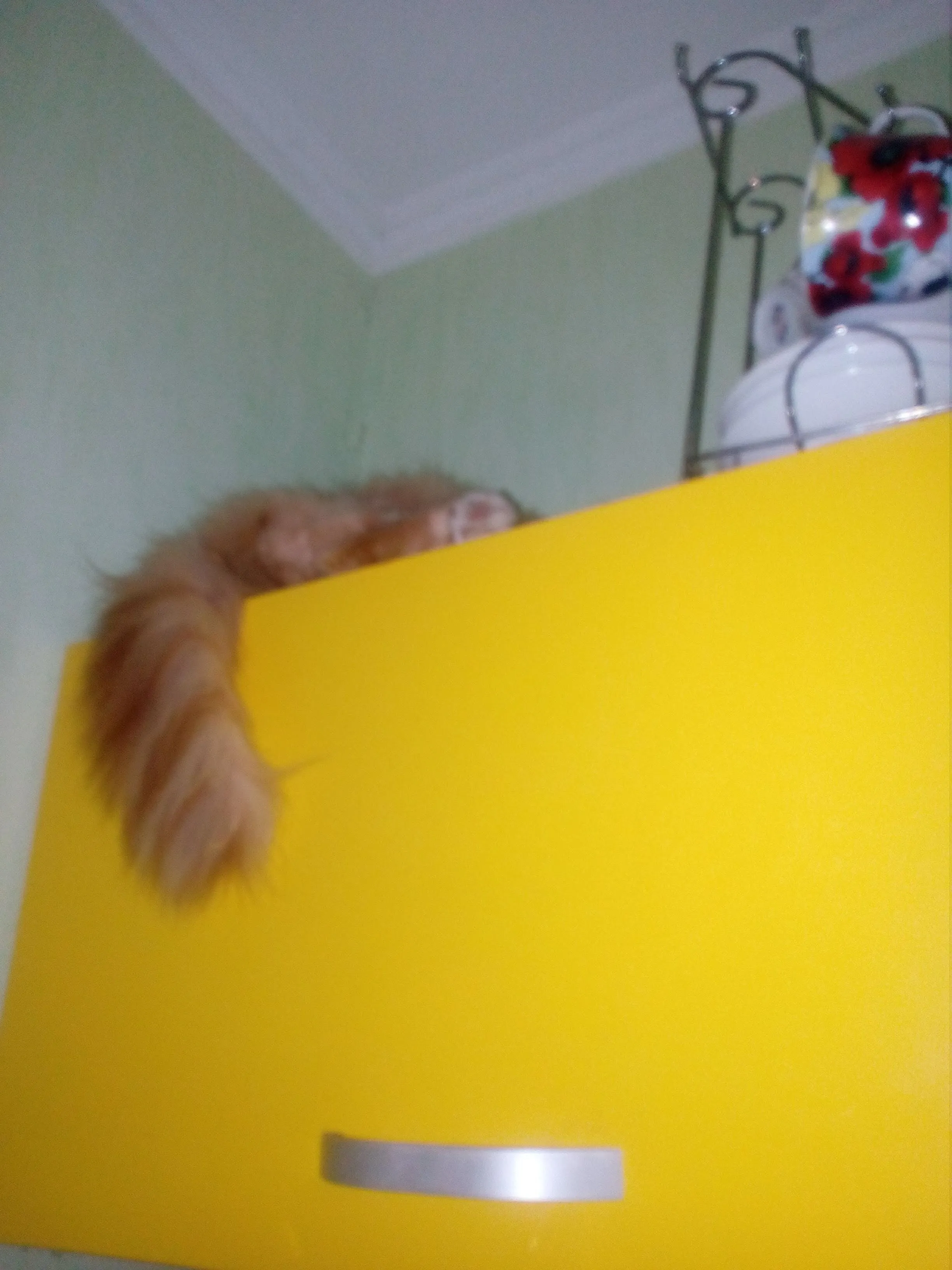 IMG_20201115_223939.webp