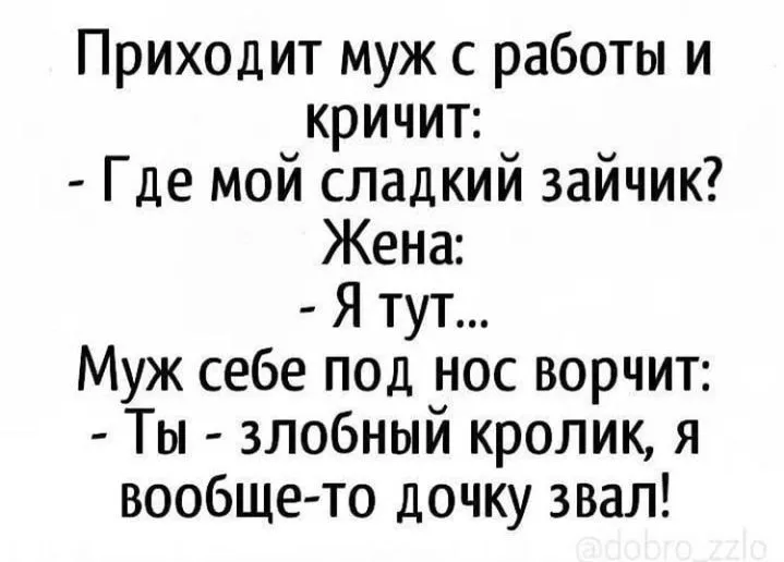 IMG_20210119_140249.webp