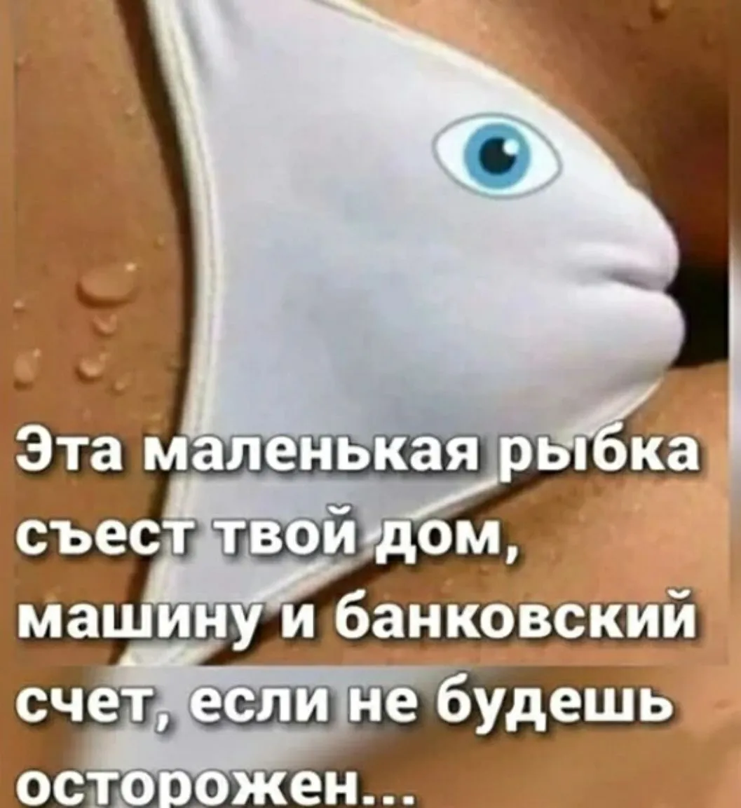 IMG_20210209_135649.webp