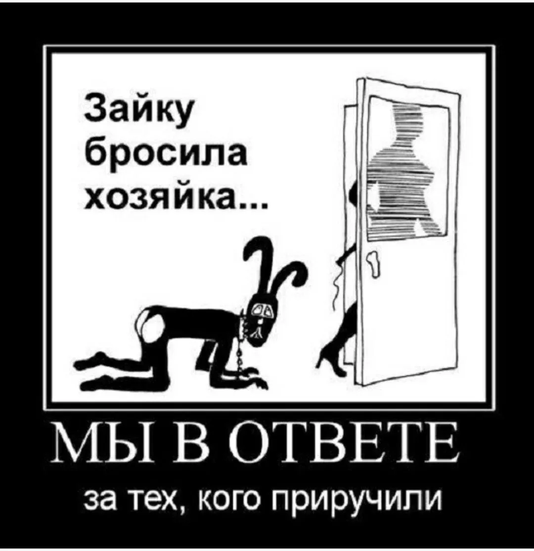 IMG_20210217_092145.webp