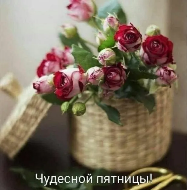 IMG_20210409_112146_606.webp