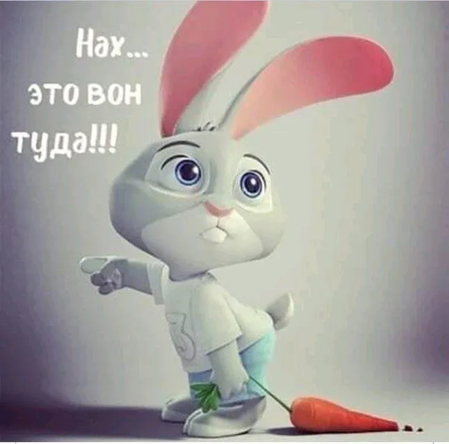 IMG_20210610_183910.webp