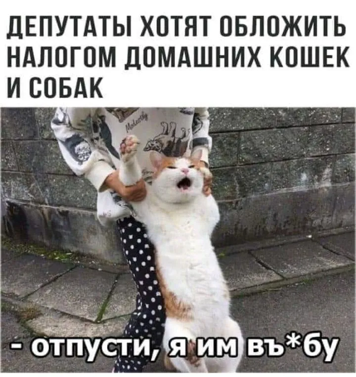 IMG_20210712_075920.webp