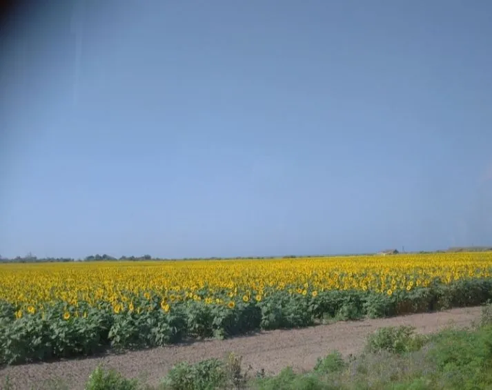 IMG_20210717_094157.webp