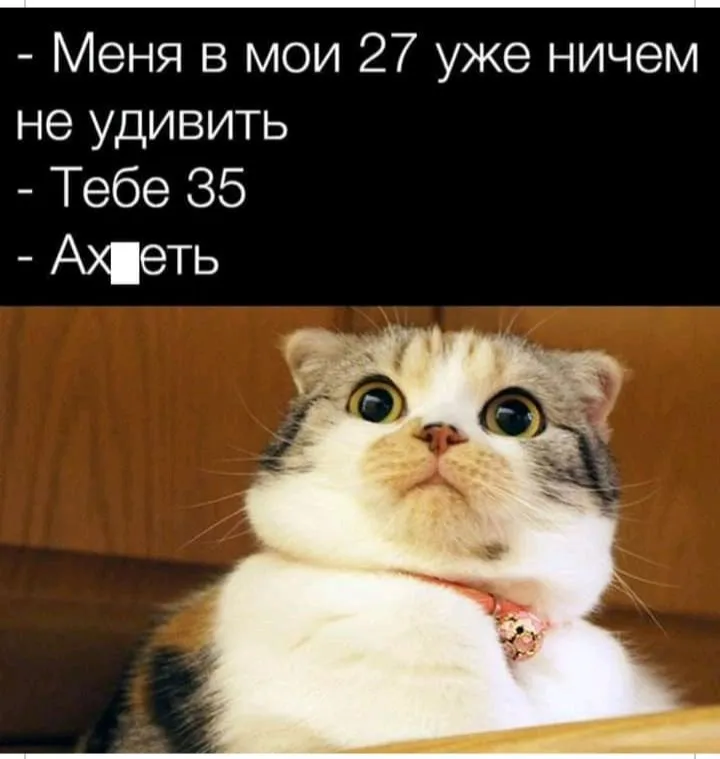 IMG_20210808_123119.webp