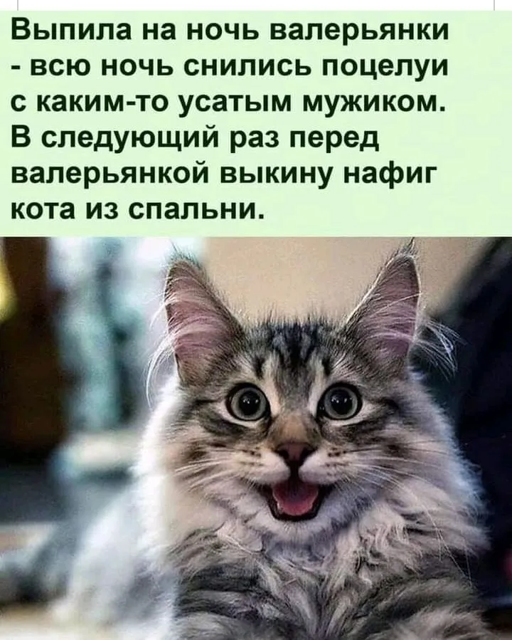 IMG_20210809_190339.webp