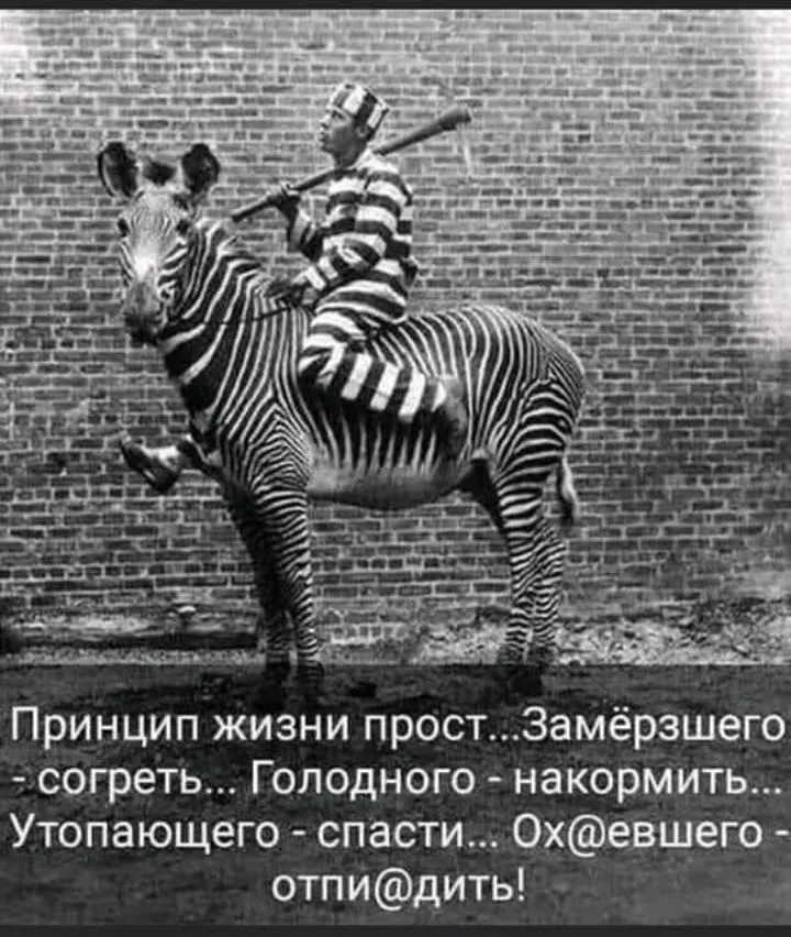IMG_20210810_182934.jpg
