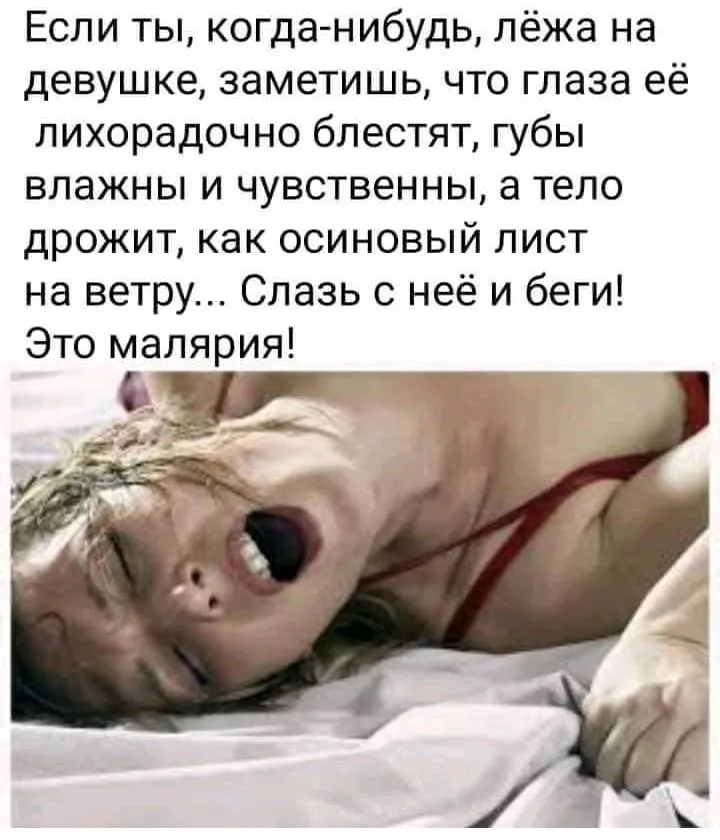 IMG_20210818_193943.webp