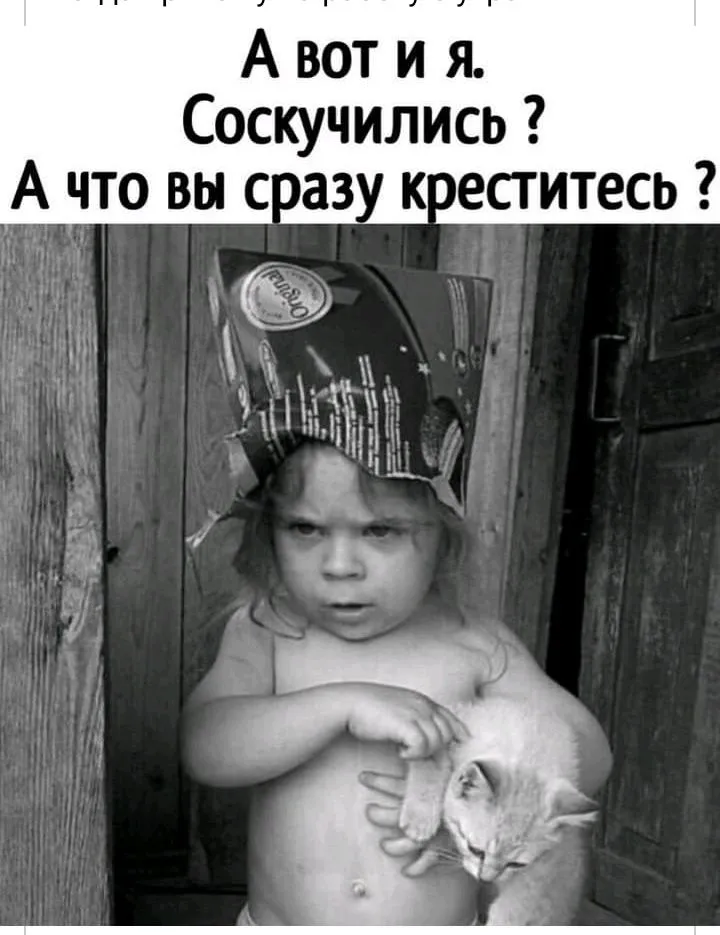 IMG_20210818_194446.webp