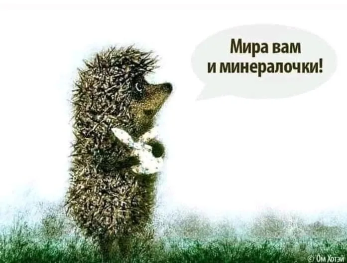IMG_20210819_100115.webp