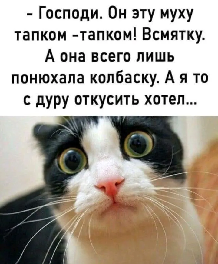 IMG_20210823_150703.webp