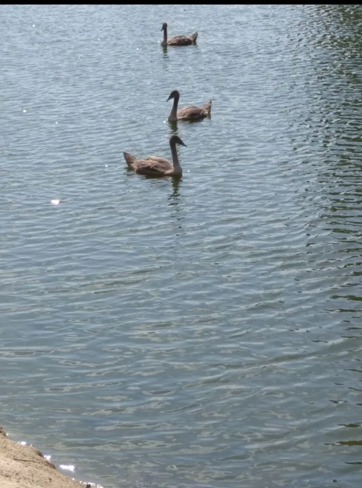 IMG_20210824_172145.webp